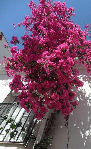 Andalusien Costa del Sol