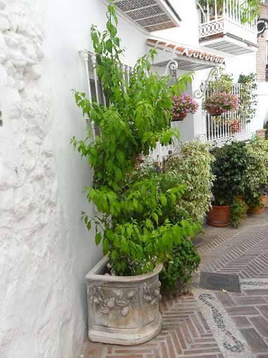 Andalusien Costa del Sol