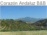 Corazon Andaluz Bed and Breakfast