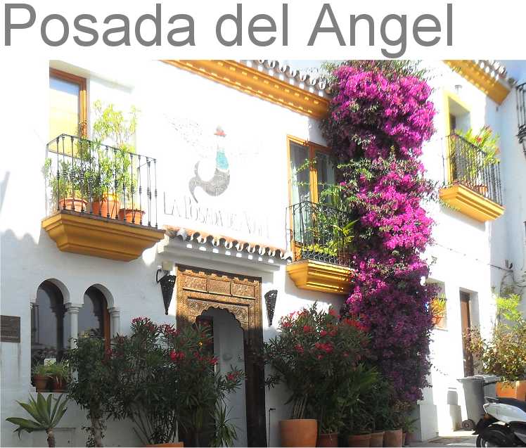 Hotel Posada del  Angel