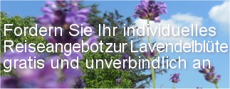 Individuelles Reiseangebot