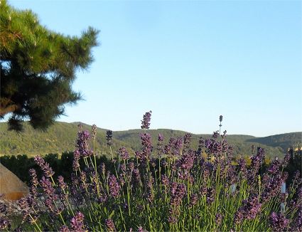 Provence