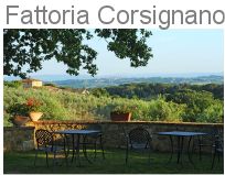 Fattoria Corsignano