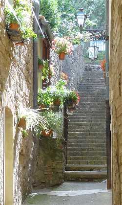 Volterra