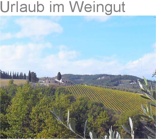 Urlaub im Weingut in der Toskana