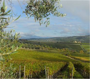 Urlaub im Weingut in der Toskana