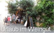 Urlaub im Weingut