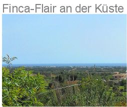 Finca.Flair an der Kste