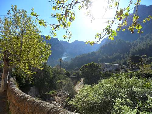 Soller