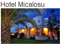 Hotel Micalosu